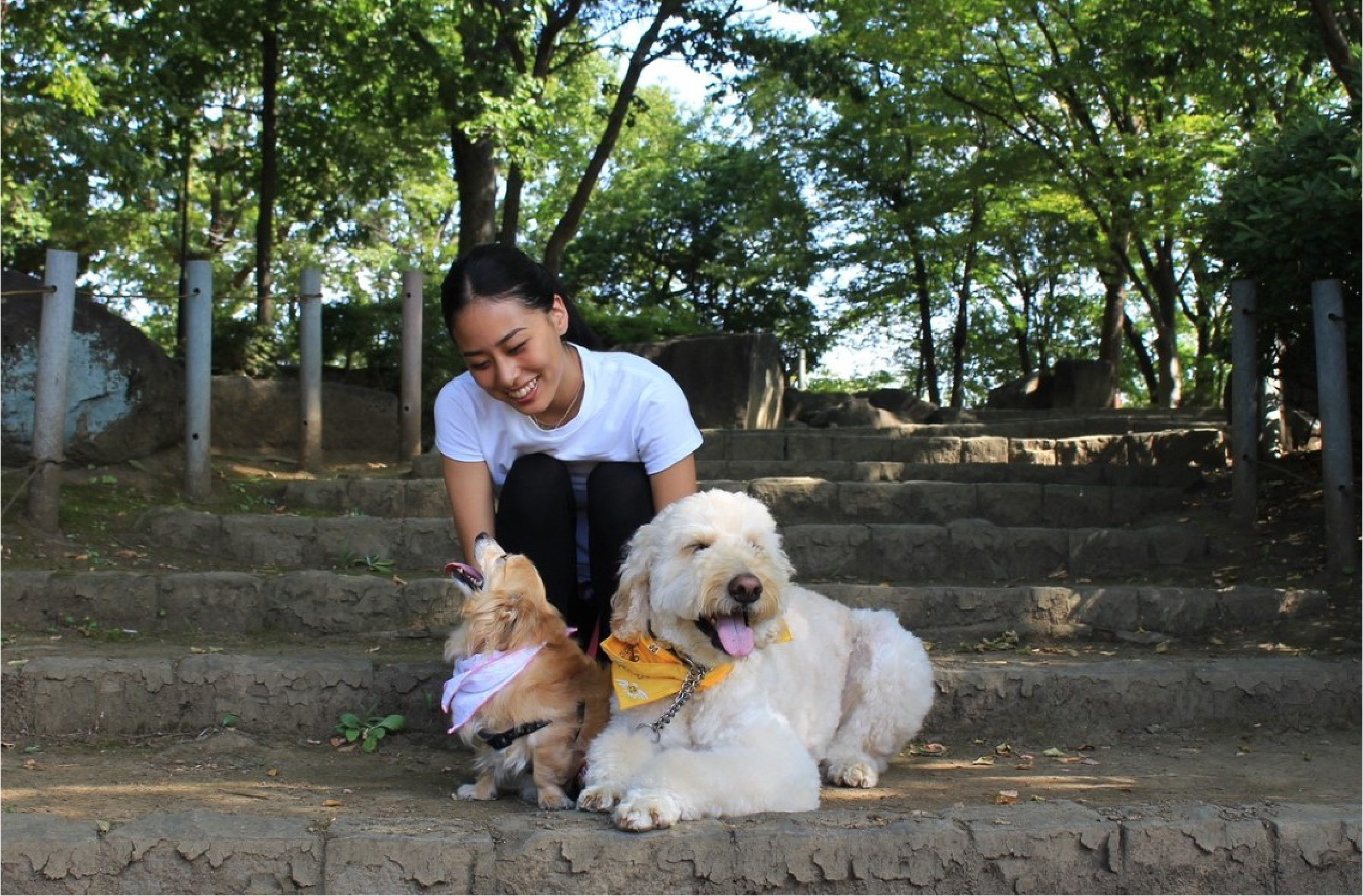 犬と触れ合うトレーナー